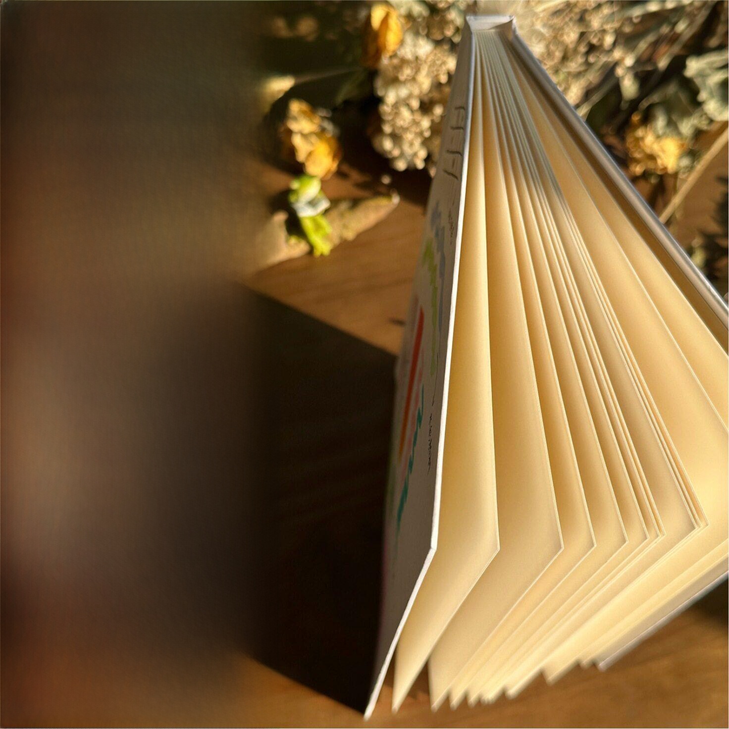 Hand Drawn Hard Cover Accordio - Journal Leather Hardcover recension och pris